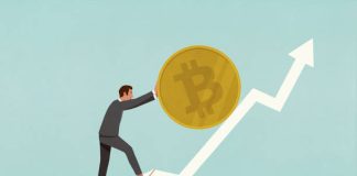 The Bear Market Divergence That Reveals What’s Actually Going On With Bitcoin