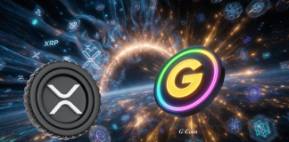XRP Value Eyes Large Rally as Evernorth Builds $1B XRP Treasury and G Coin Tops Small-Cap Crypto Picks