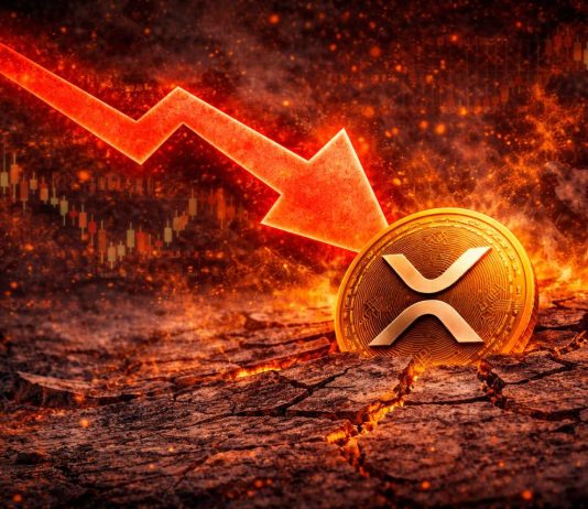 On-Chain Information Exhibits XRP Worth Backside May Be Additional Under — Right here’s Why