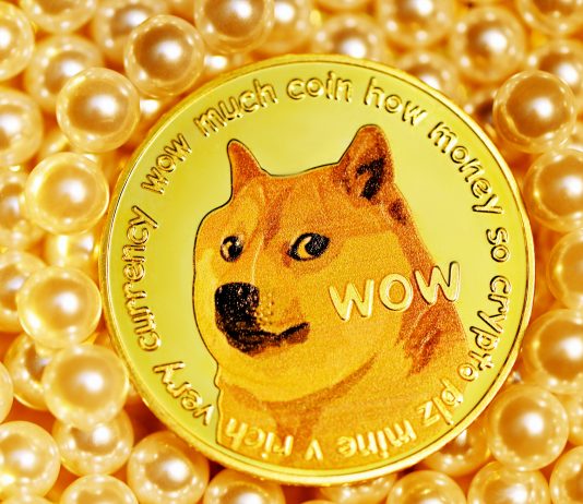 Dogecoin Provide Barrier: This Degree Holds Price Foundation Of 28 Billion DOGE