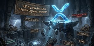 XRP Worth Dangers Contemporary Drop, Is One other Leg Decrease Imminent?