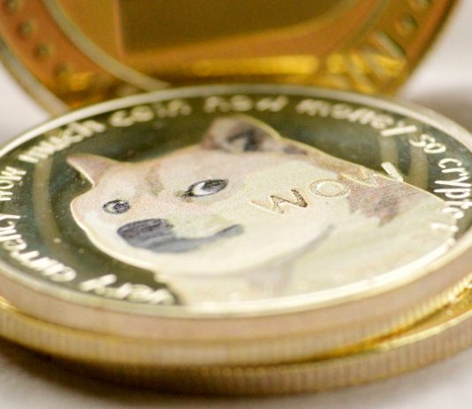 Dogecoin Backside Not In? Analyst Warns DOGE’s Macro Downtrend Gained’t Be Over Quickly