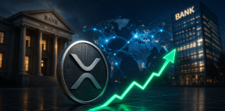 XRP Wants Greater Costs To Deal with Financial institution-Scale Flows, Jake Claver Argues