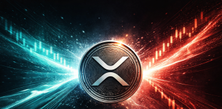 XRP Open Curiosity Surges As Worth Slides—Extra Volatility Forward?