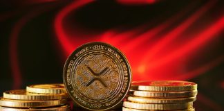 XRP World Distribution Exhibits The Main Holders And What It’s Being Used For