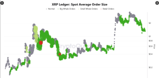 8.25M XRP Exit Lengthy-Time period Holders As Whales Purchase $1.20–$3