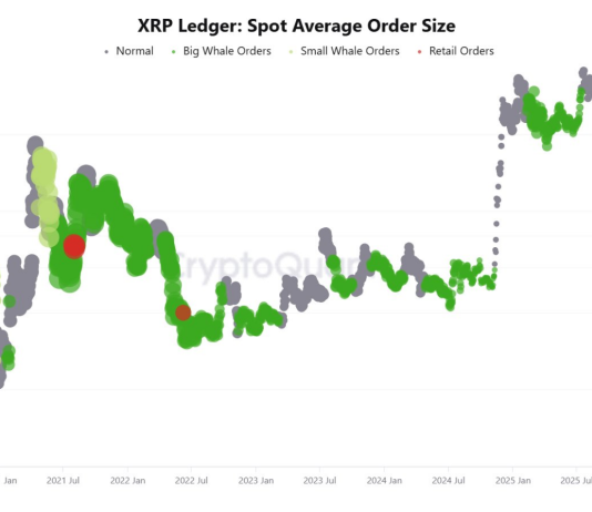 8.25M XRP Exit Lengthy-Time period Holders As Whales Purchase $1.20–$3