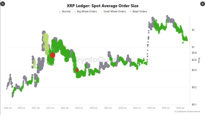 8.25M XRP Exit Lengthy-Time period Holders As Whales Purchase $1.20–$3