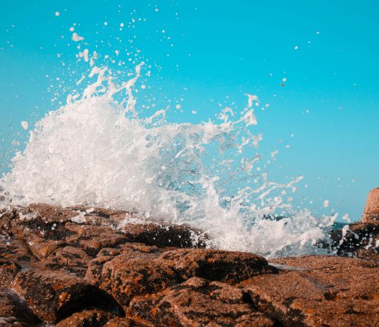 Extra Than 40% Of Altcoins Are Hitting Rock Backside — And Specialists Say It’s Worse Than The Final Crash