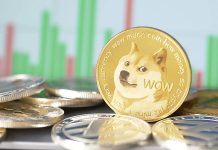 Dogecoin Group Simply Dropped 5 “Bombshells” On The Group, Is DOGE About To Change Perpetually?