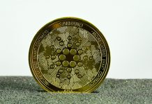 Shopping for Cardano Now Is Like Shopping for Bitcoin Earlier than It Blew Up, Analyst Says