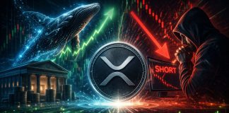 Actual Cash Is Shopping for XRP. Leveraged Merchants Are Nonetheless Shorting It. Uncover What Normally Occurs Subsequent