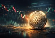 Cardano Worth Prediction: ADA Struggles Beneath $0.245 as Bearish Strain Builds Close to Key Assist Zone