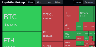 Bitcoin Sits 45% Under Its Peak As Brief Sellers Take up $276M In Losses