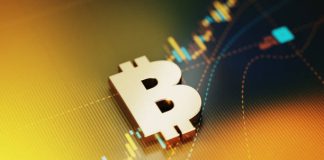Larger Earlier than Decrease: How Bitcoin Value Will Get To $240,000