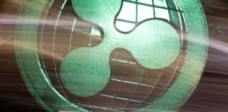 XRP Knowledgeable Says Traders Ought to Not Fret Over Worth, Right here’s Why