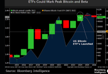 Bitcoin ETF Hype Hits Ceiling, Sharp Drop Danger Emerges: Analyst Bitcoin ETF Hype Hits Ceiling, Sharp Drop Danger Emerges: Analyst