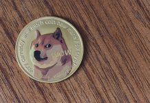 Right here’s Why The Dogecoin Worth Is Underneath Menace Of Crashing Once more