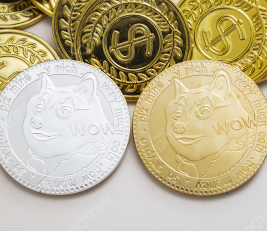 Dogecoin Cracks Once more: BTC Pair Collapse Indicators Imminent Drop To $0.07