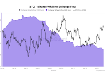 Bitcoin Provide Shock Brewing? Whales Step Again As Lengthy-Time period Holders Take in $49B