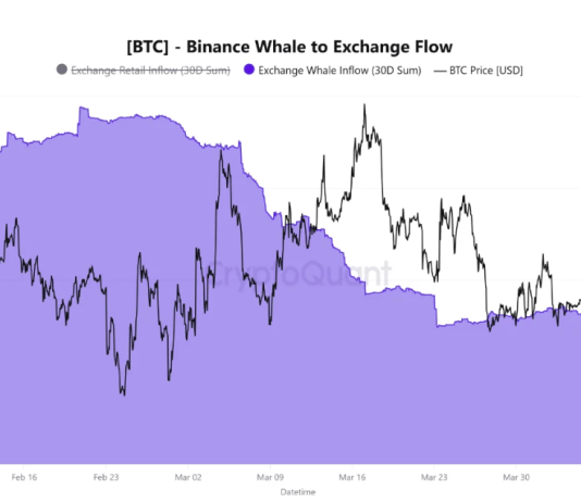 Bitcoin Provide Shock Brewing? Whales Step Again As Lengthy-Time period Holders Take in $49B