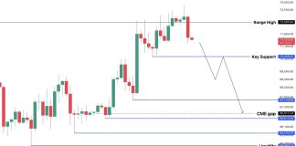 Bitcoin Bulls Should Maintain This Degree Or Value Might Crash To $65,000 Once more