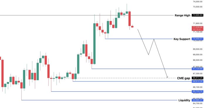 Bitcoin Bulls Should Maintain This Degree Or Value Might Crash To $65,000 Once more