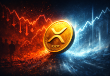 XRP Social FUD Nears 2-Yr Excessive—Contrarian Sign Brewing?