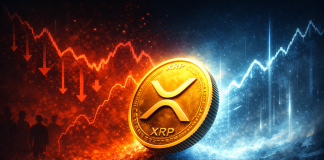 XRP Social FUD Nears 2-Yr Excessive—Contrarian Sign Brewing?