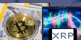 Greenback’s Shrinking Worth Provides Gasoline To XRP Bull Case: Finance Skilled