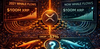 XRP Whale Flows Hit 2021 Ranges: Is Historical past Repeating?
