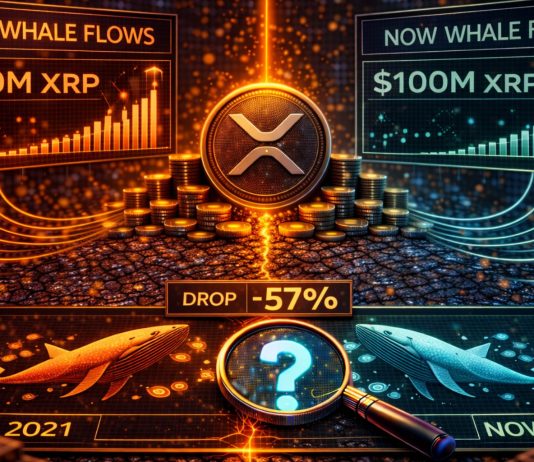 XRP Whale Flows Hit 2021 Ranges: Is Historical past Repeating?
