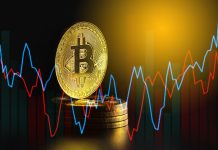 13 Years Of Information Says Bitcoin Value Has Not Bottomed But, Analyst Explains The Pattern