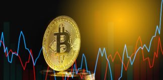 13 Years Of Information Says Bitcoin Value Has Not Bottomed But, Analyst Explains The Pattern