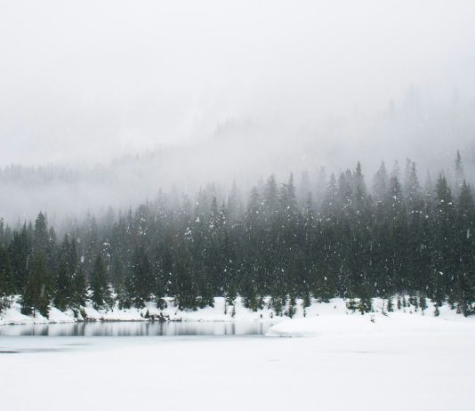 A ‘Sustained’ Crypto Winter? Buying and selling Quantity Hits Lowest Ranges Since 2023 – Report