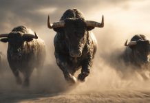 XRP A Sturdy Purchase Earlier than 2027 Regardless of 27% Drop In 2026: Finance Advisory Agency