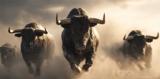 XRP A Sturdy Purchase Earlier than 2027 Regardless of 27% Drop In 2026: Finance Advisory Agency