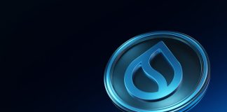 SUI And USDC Now Energy Actual-World Transactions On RedotPay