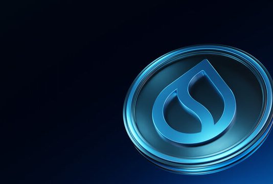 SUI And USDC Now Energy Actual-World Transactions On RedotPay
