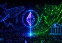 Ethereum Coinbase Premium Flips Bullish: Uncover What Occurs When US Whales Are Lengthy
