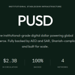 Shariah-Compliant Stablecoin PUSD Strikes Into MidEast Institutional Enviornment
