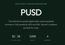 Shariah-Compliant Stablecoin PUSD Strikes Into MidEast Institutional Enviornment