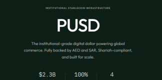 Shariah-Compliant Stablecoin PUSD Strikes Into MidEast Institutional Enviornment