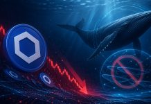 Chainlink Is Getting Cheaper And Whales Are Not Shopping for The Dip: Low cost Or A Entice?