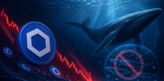 Chainlink Is Getting Cheaper And Whales Are Not Shopping for The Dip: Low cost Or A Entice?