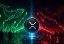 XRP Spot Patrons Are Getting Stronger Whereas Futures Merchants Are Promoting – Study What That $700M Cut up Means