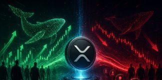 XRP Spot Patrons Are Getting Stronger Whereas Futures Merchants Are Promoting – Study What That $700M Cut up Means