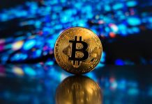 Bitcoin ‘Sharks’ Silently Accumulate Amid Market Uncertainty — Particulars