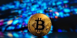 Bitcoin ‘Sharks’ Silently Accumulate Amid Market Uncertainty — Particulars