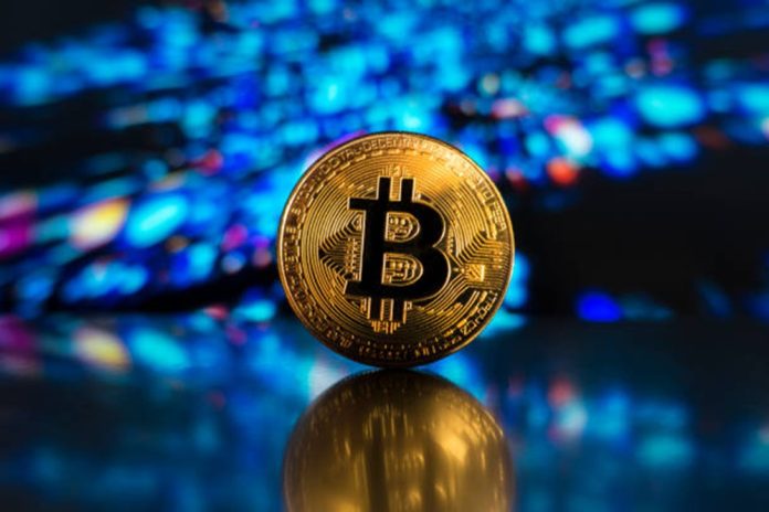 Bitcoin ‘Sharks’ Silently Accumulate Amid Market Uncertainty — Particulars